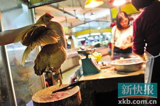 广州少数档口违规偷卖活禽，卫生隐患亟待整治
