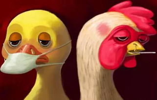 阳山县活禽经营市场再次休市七天，加强禽流感防控