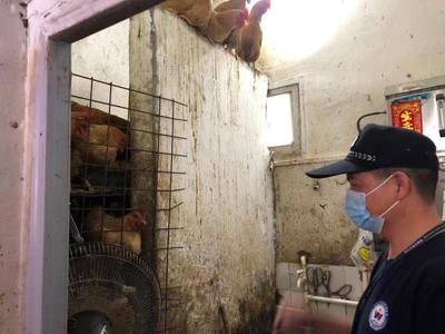 卫生间暗藏活禽宰杀点 西乡网格员火眼金睛除隐患